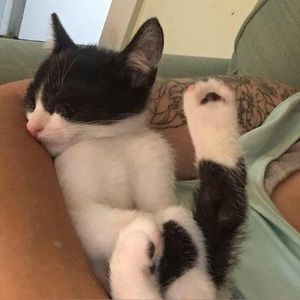 Meet your Posher, Jackie